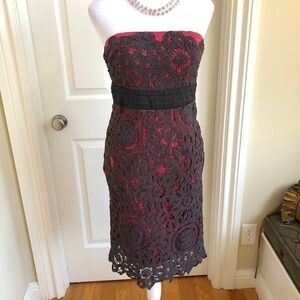 Anthropologie Strapless Dress Pink Grey Lace (6)